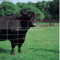 Heavy Zinc Coated Cattle Fence